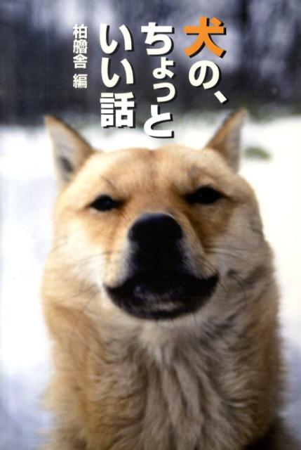 楽天ブックス 犬の ちょっといい話 柏艪舎 本