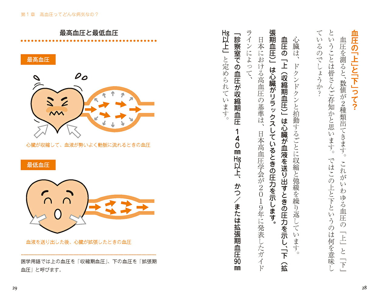 ��찵���Ϥǲ�����ʷ򹯼�̿��ΤФ��ǹ⽬����[���ܷ���]