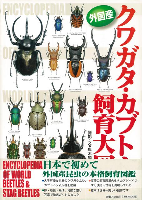 楽天ブックス バーゲン本 外国産クワガタ カブトムシ飼育大図鑑 鈴木 知之 本