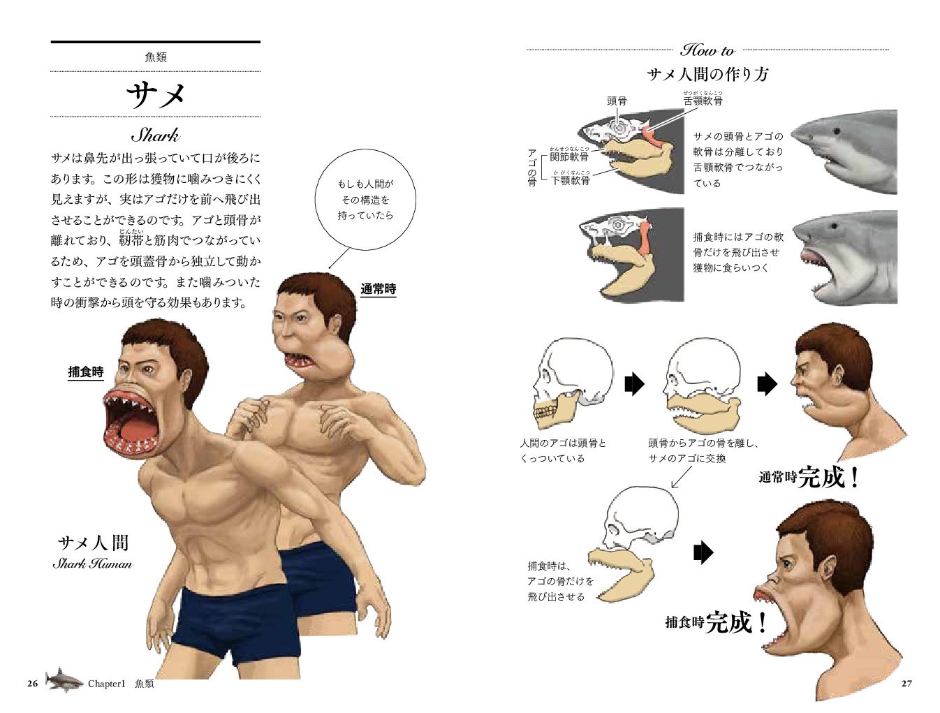 楽天ブックス サメのアゴは飛び出し式 進化順に見る人体で表す動物図鑑 川崎悟司 本