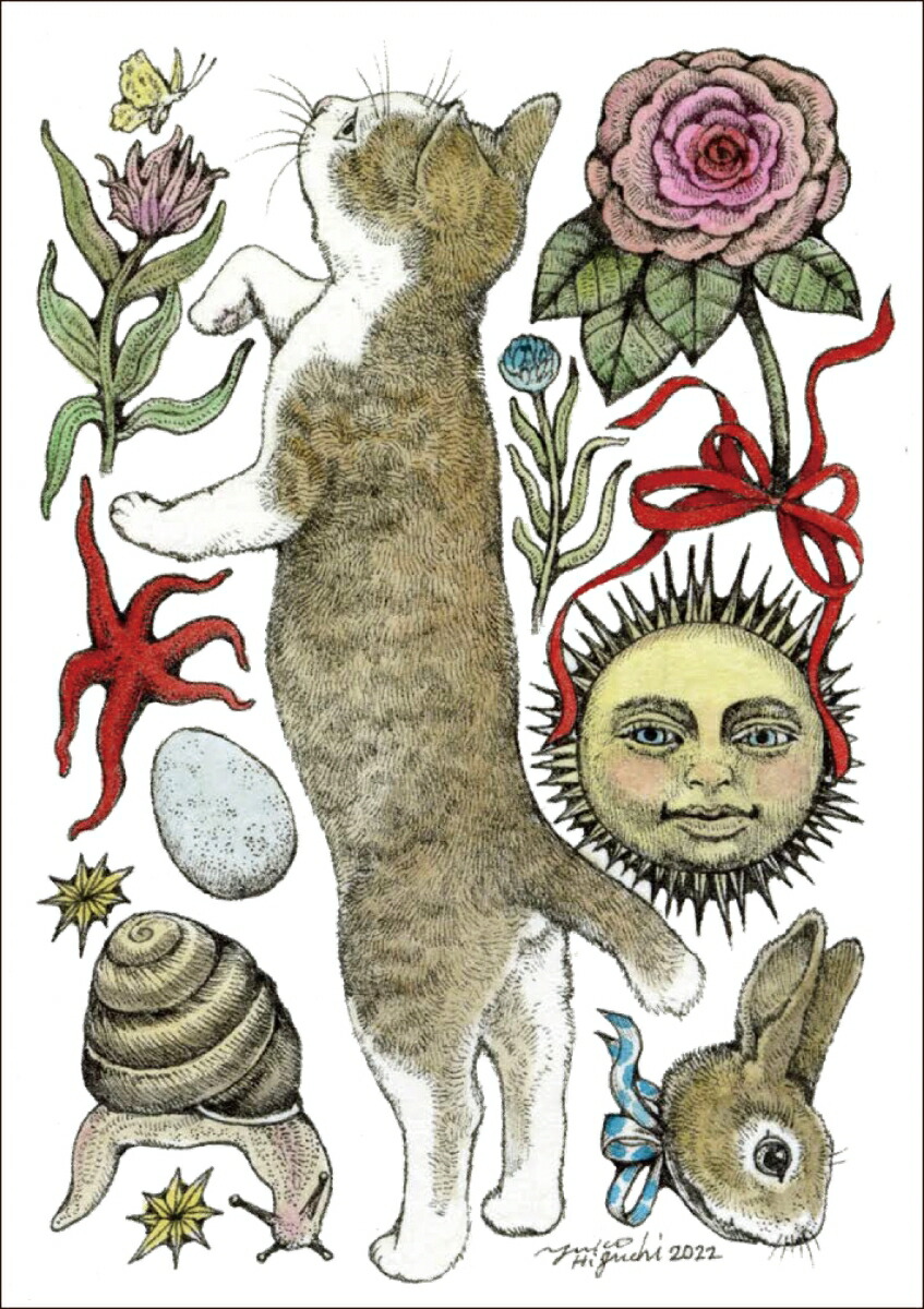 �ҥ����楦���ܥꥹ�����ɥ֥å�[�ҥ����楦��]