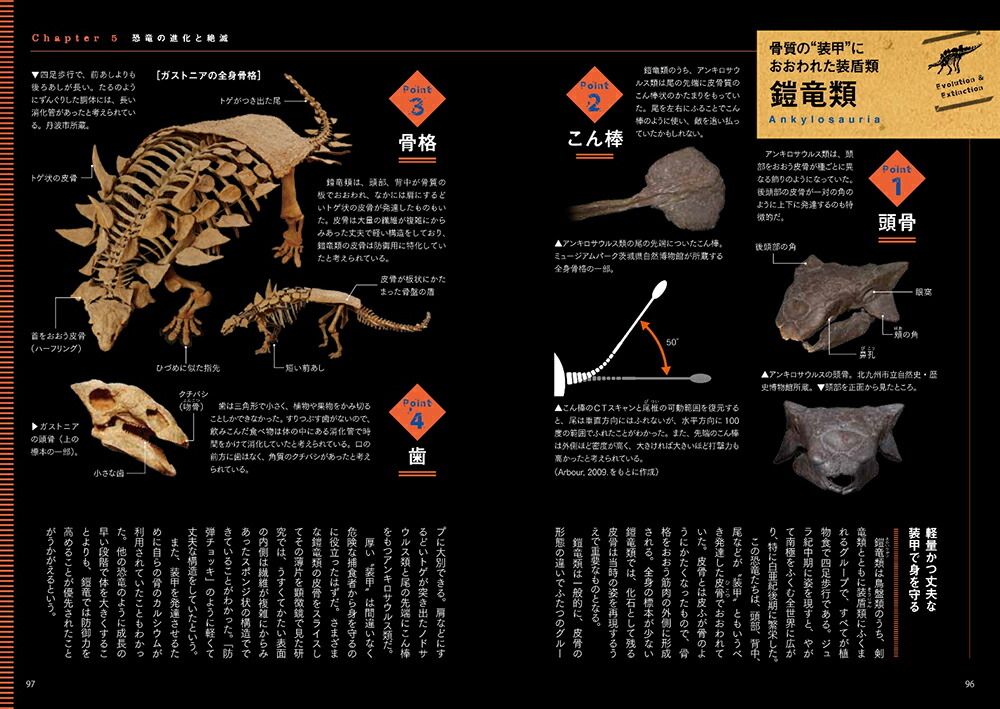 楽天ブックス 新版 恐竜の世界 Dvd付 恐竜の進化と絶滅の謎をさぐる 真鍋真 本