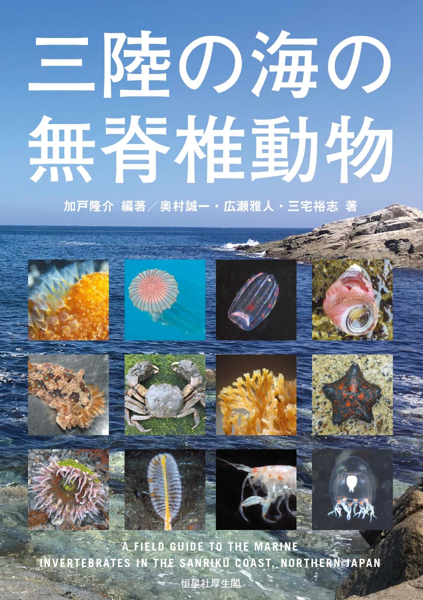 楽天ブックス 三陸の海の無脊椎動物 加戸隆介 本