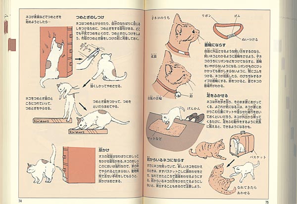 飼育栽培図鑑はじめて育てる・自分で育てる（福音館の科学シリーズ）[有沢重雄]