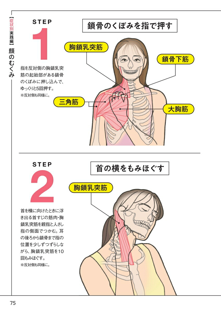 筋肉再生ナビこり・痛み・たるみ・ダイエット…原因筋がマルっと解決！[小野晴康]