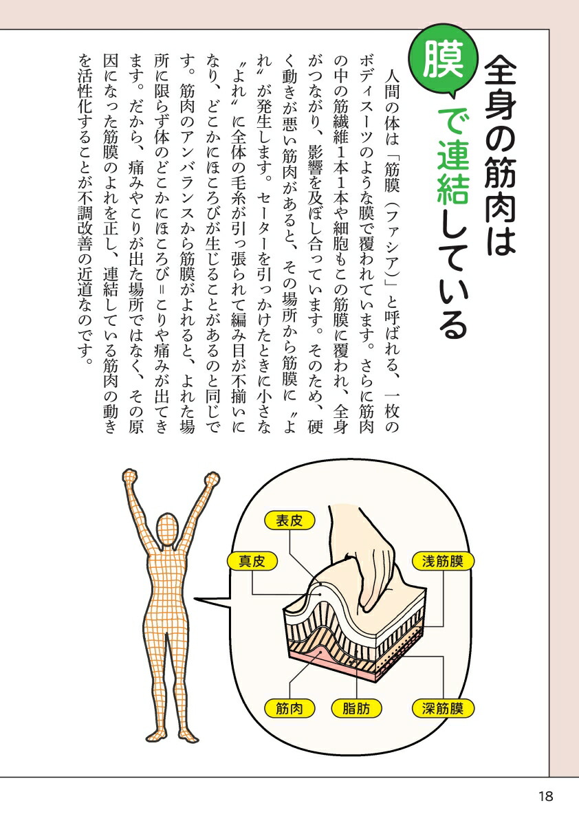 筋肉再生ナビこり・痛み・たるみ・ダイエット…原因筋がマルっと解決！[小野晴康]