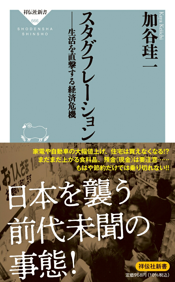 楽天ブックス: スタグフレーションーー生活を直撃する経済危機 - 加谷