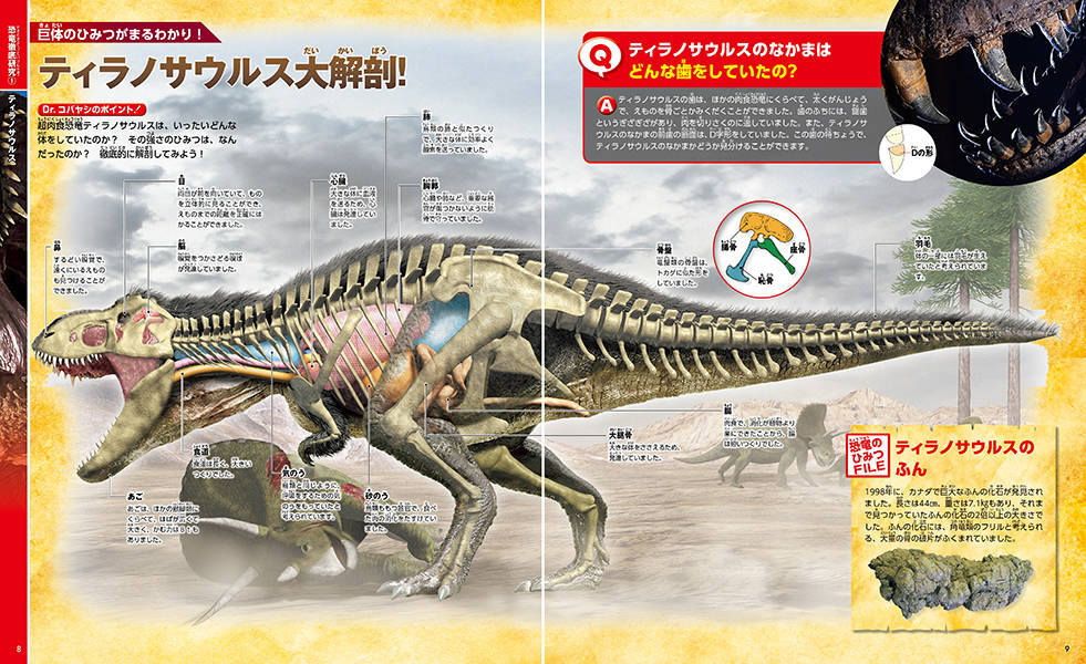 ティラノサウルス の意味は何 恐竜マニア検定 トイダス 無料で