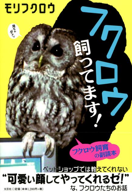 楽天ブックス フクロウ飼ってます モリフクロウ 本