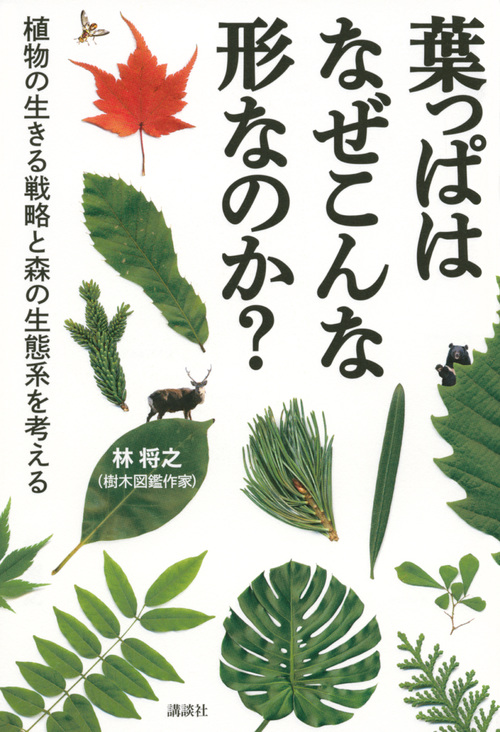 楽天ブックス 葉っぱはなぜこんな形なのか 植物の生きる戦略と森の生態系を考える 林 将之 本