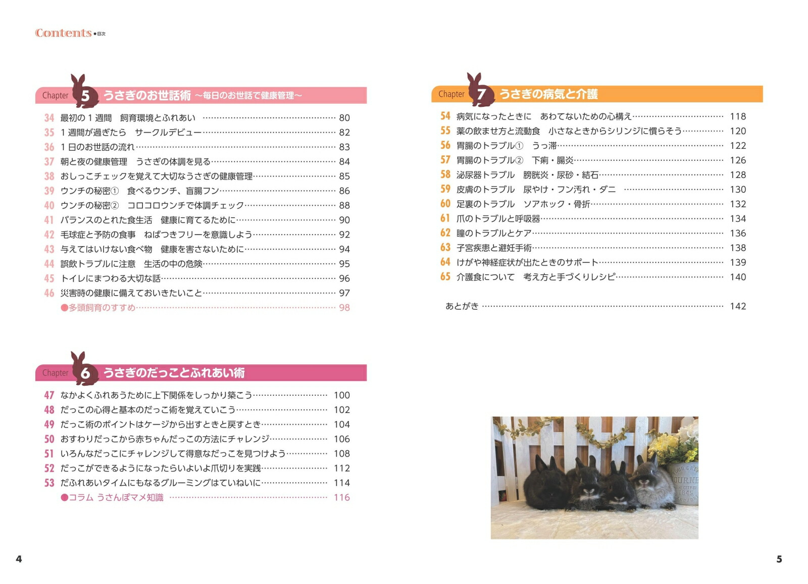 かわいいうさぎ幸せな飼い方・育て方がわかる本増補改訂版[大里美奈]