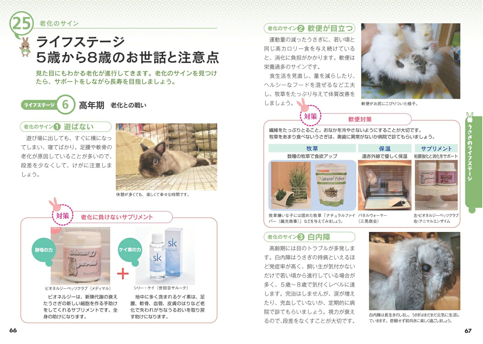 かわいいうさぎ幸せな飼い方・育て方がわかる本増補改訂版[大里美奈]