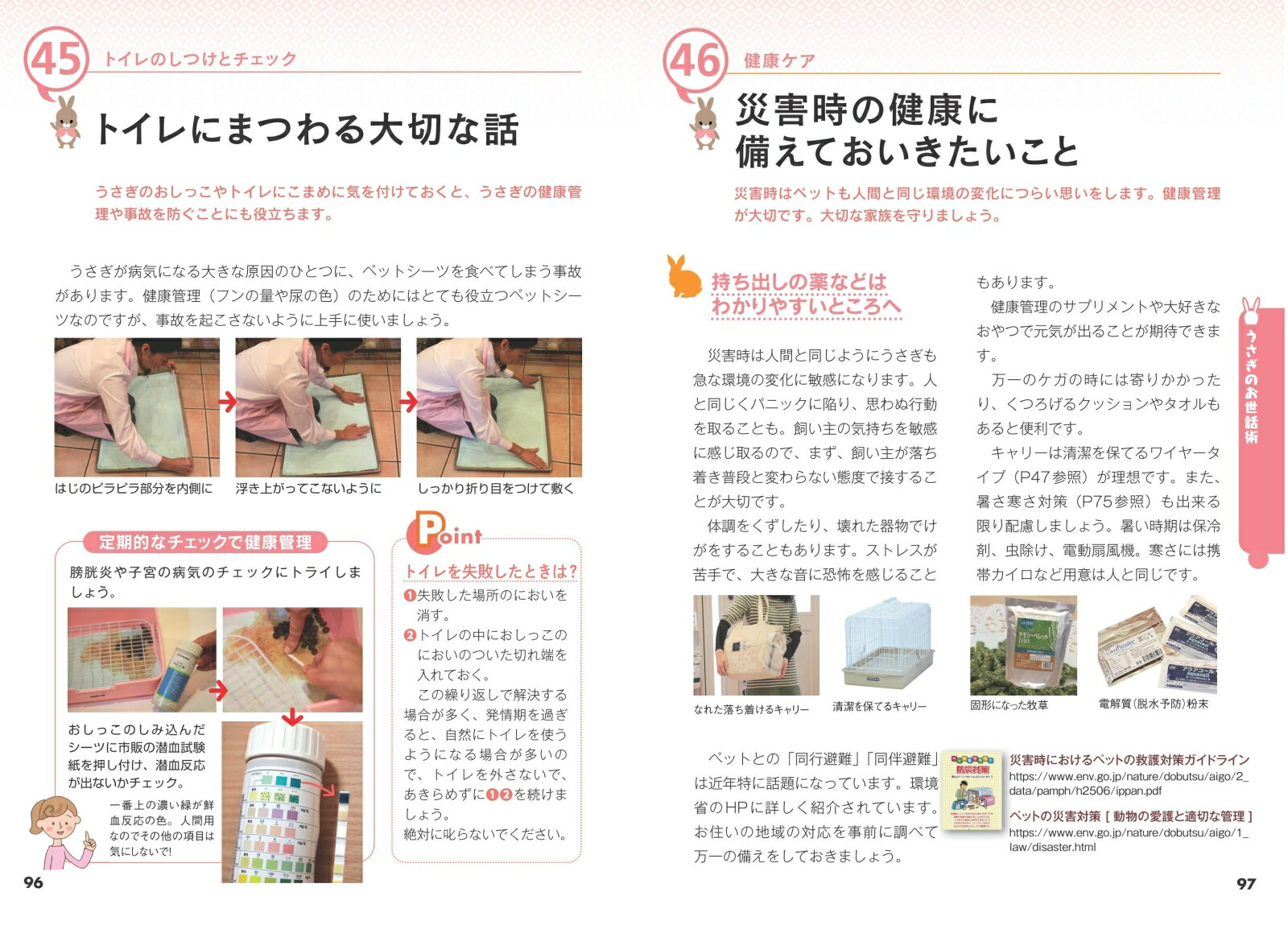 かわいいうさぎ幸せな飼い方・育て方がわかる本増補改訂版[大里美奈]