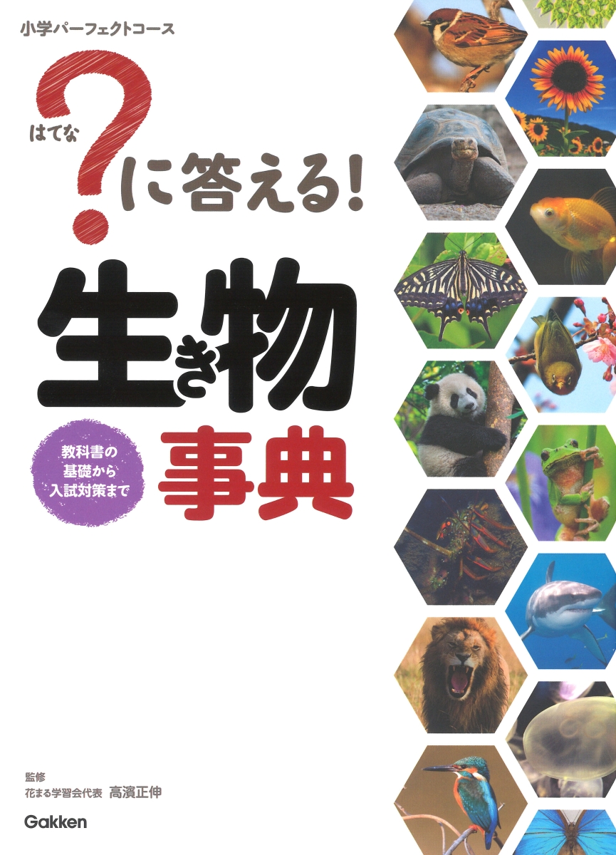 楽天ブックス に答える 生き物事典 花まる学習会代表 高濱正伸 本