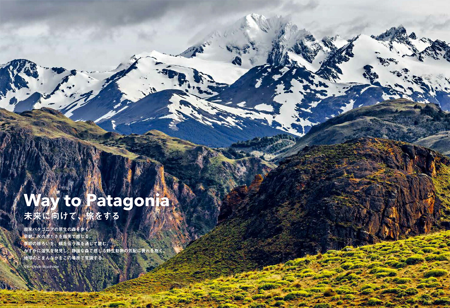 CoyoteNo.85WaytoPatagonia
