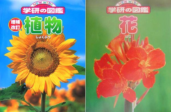 楽天ブックス: 学研ニューワイド図鑑「植物」＋「花」2冊セット
