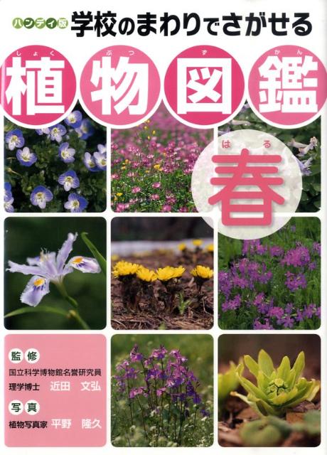 楽天ブックス 学校のまわりでさがせる植物図鑑 春 ハンディ版 平野隆久 本
