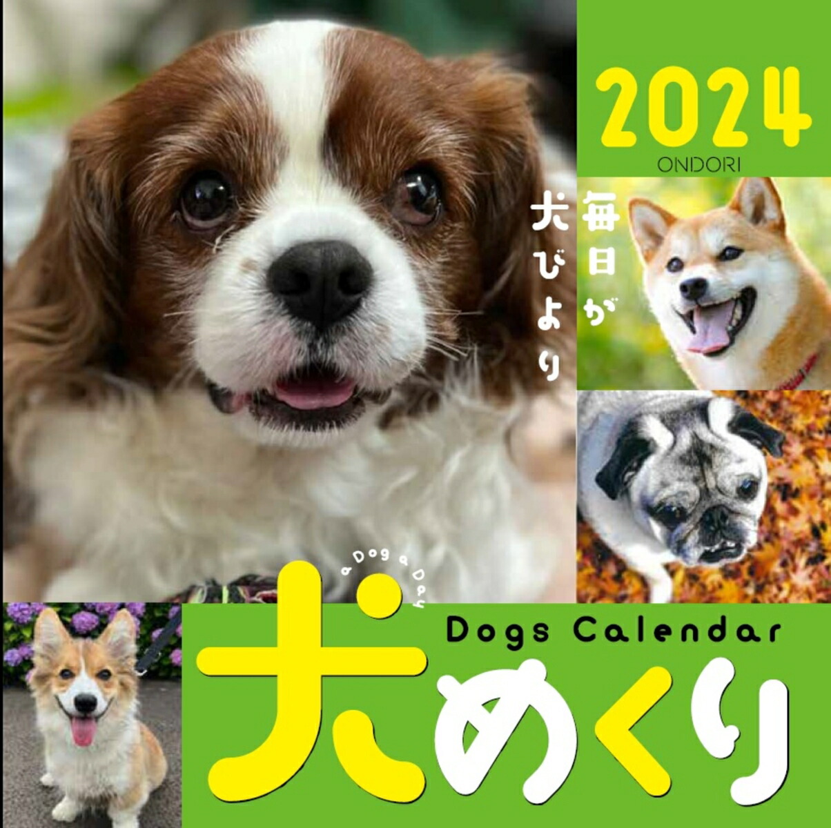 Dogs Calendar 犬めくり2024 : 毎日が犬びより - 事務用品