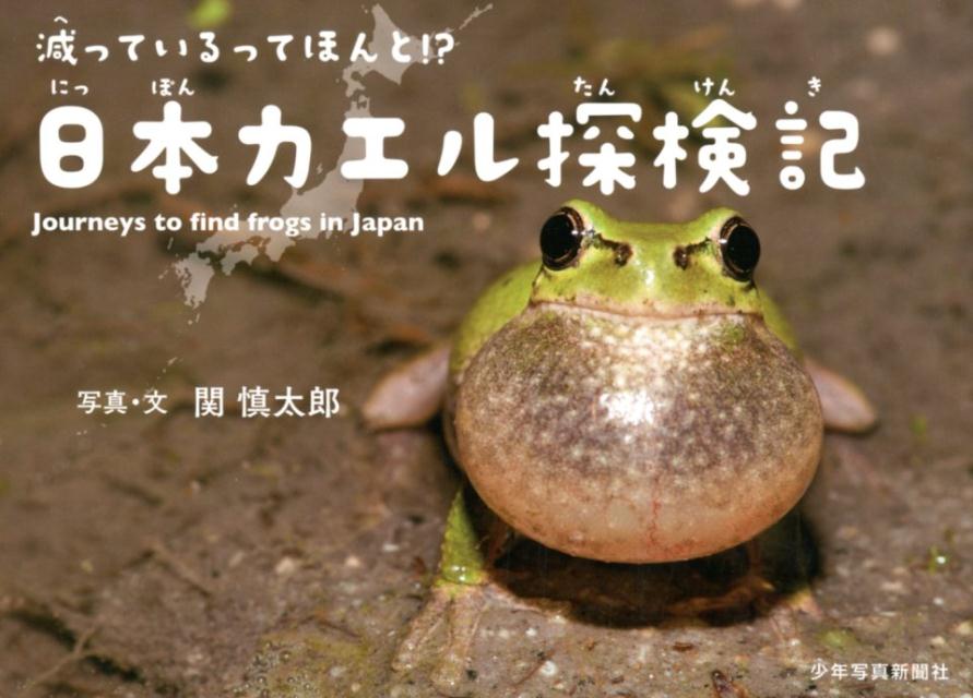 楽天ブックス 減っているってほんと 日本カエル探検記 関 慎太郎 本