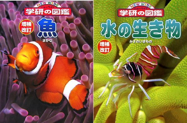 楽天ブックス 学研ニューワイド図鑑 魚 水の生き物 2冊セット 本