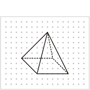 楽天ブックス 考える力を育てる 天才ドリル 立体図形が得意になる点描写 神童レベル 小学校全学年用 算数 認知工学 本