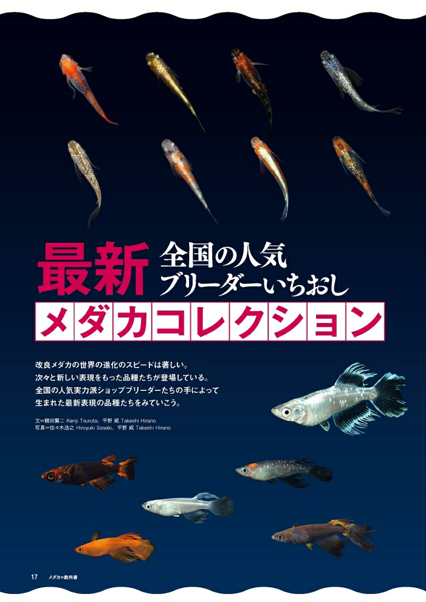 楽天ブックス 最新改良品種のすべてがわかる メダカの教科書 Vol 3 本