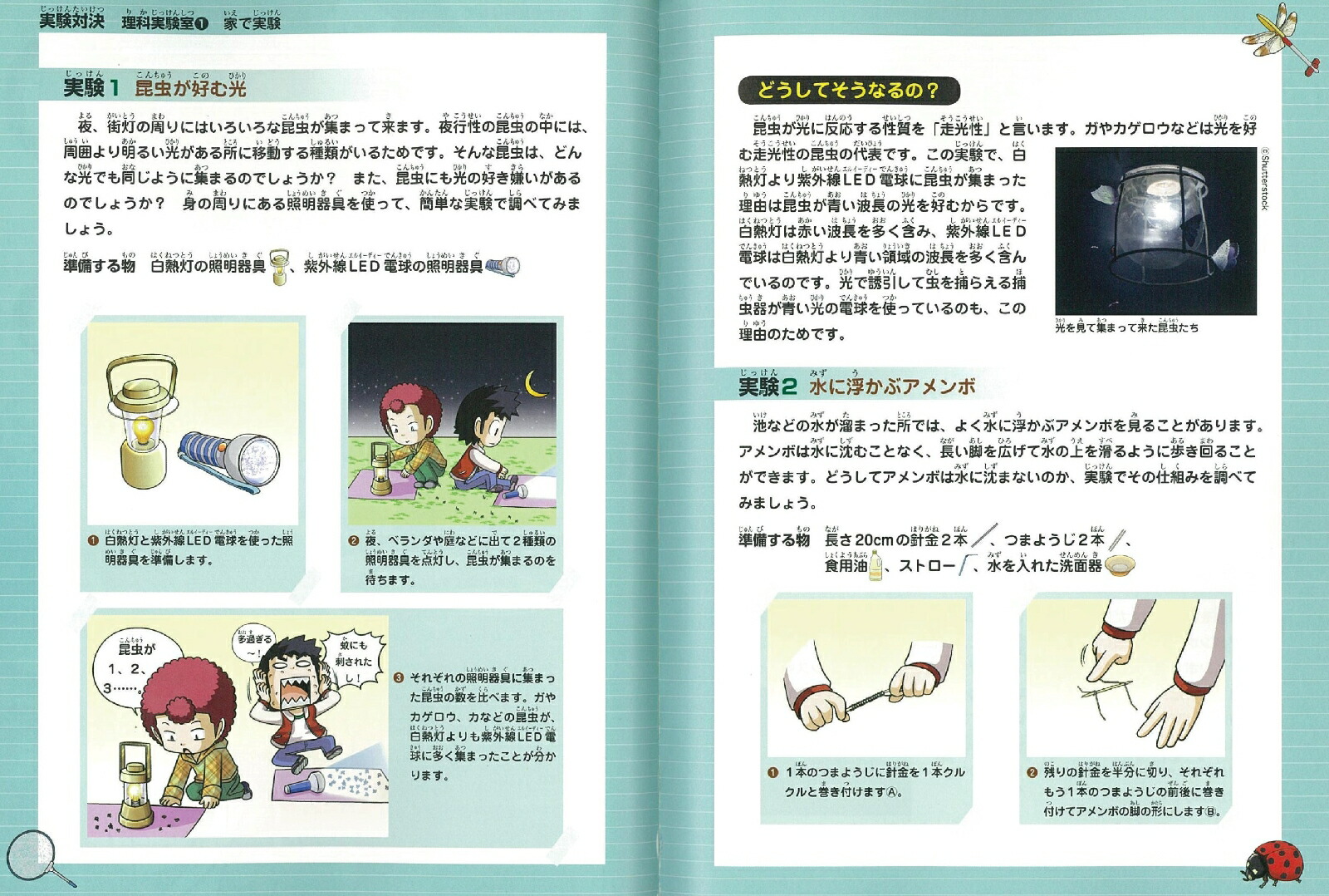 楽天ブックス 学校勝ちぬき戦 実験対決28 昆虫とクモの対決 ストーリーa 洪鐘賢 本