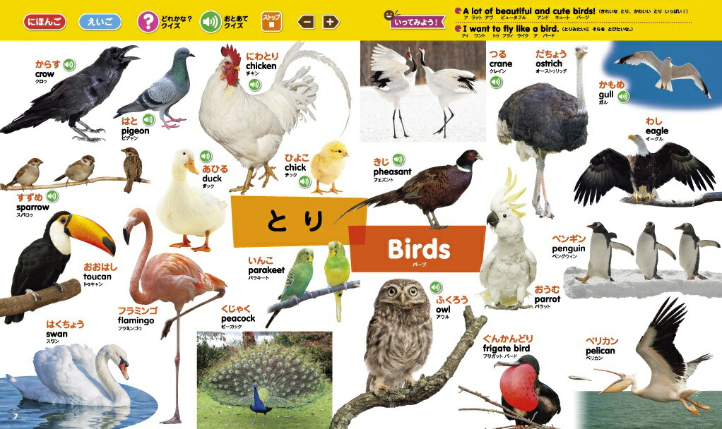 ���å��ڥ�ǲ���ʹ���롪�Ϥ���Ƥ�����1000�Ѹ�Ĥ�[���ش�]