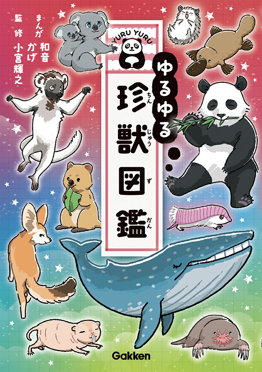 楽天ブックス: ゆるゆる珍獣図鑑 和音 9784052056789 本