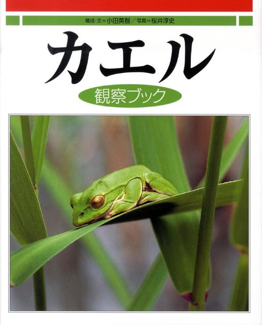 日本産カエル大鑑／松井正文／前田憲男 - 科学・医学・技術