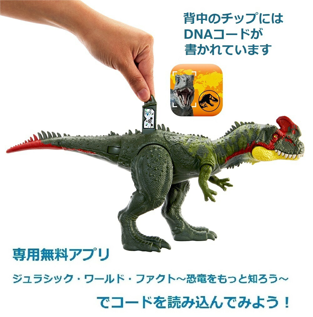 マテルジュラシックワールド(JURASSICWORLD)ビッグアクション！シノティラヌス【恐竜おもちゃ】【全長:約35cm】【4才~】HLP25