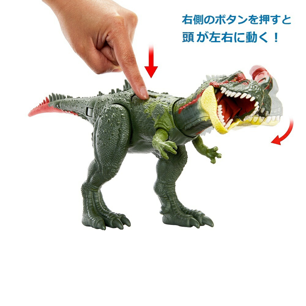 マテルジュラシックワールド(JURASSICWORLD)ビッグアクション！シノティラヌス【恐竜おもちゃ】【全長:約35cm】【4才~】HLP25