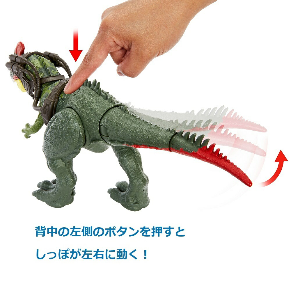 マテルジュラシックワールド(JURASSICWORLD)ビッグアクション！シノティラヌス【恐竜おもちゃ】【全長:約35cm】【4才~】HLP25