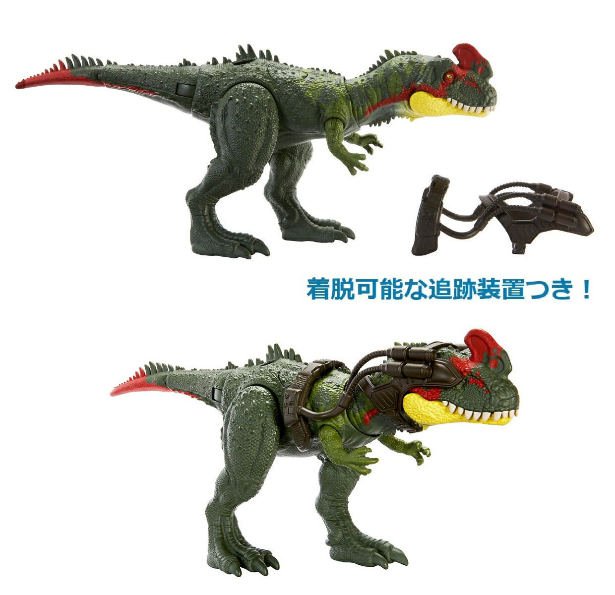 マテルジュラシックワールド(JURASSICWORLD)ビッグアクション！シノティラヌス【恐竜おもちゃ】【全長:約35cm】【4才~】HLP25