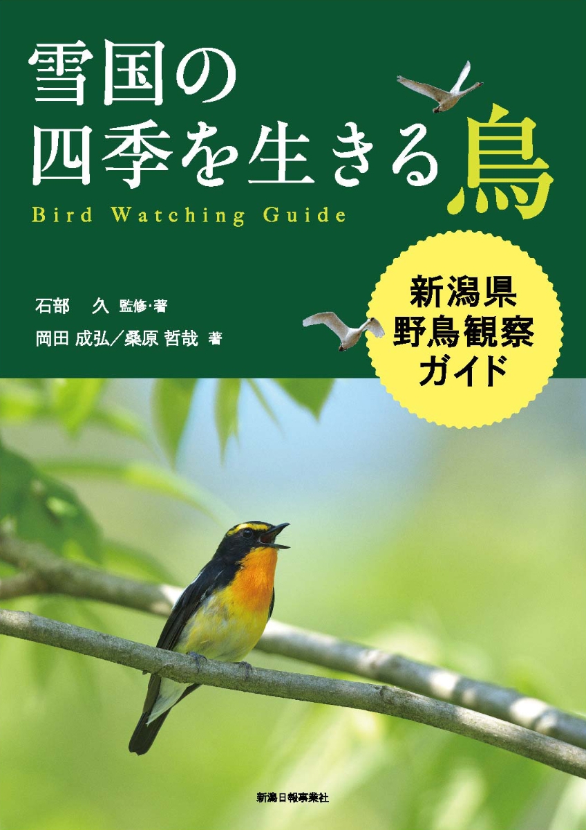 雪国の四季を生きる鳥　新潟県野鳥観察ガイド画像