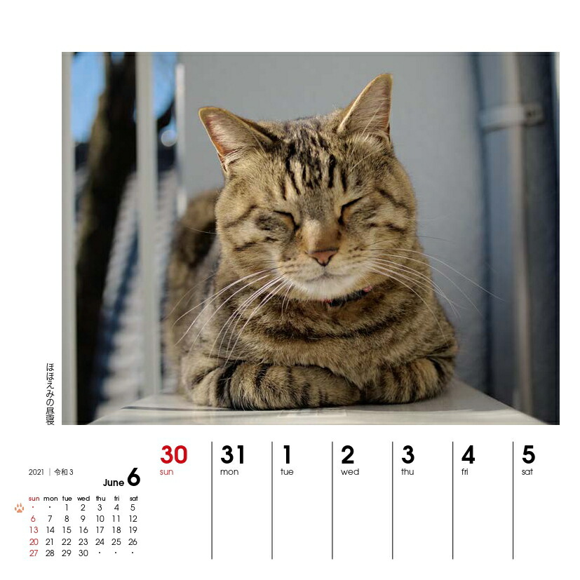 楽天ブックス 週めくりカレンダーなごみ猫 21 本