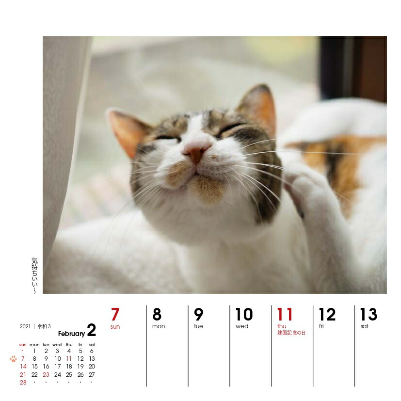 楽天ブックス 週めくりカレンダーなごみ猫 21 本