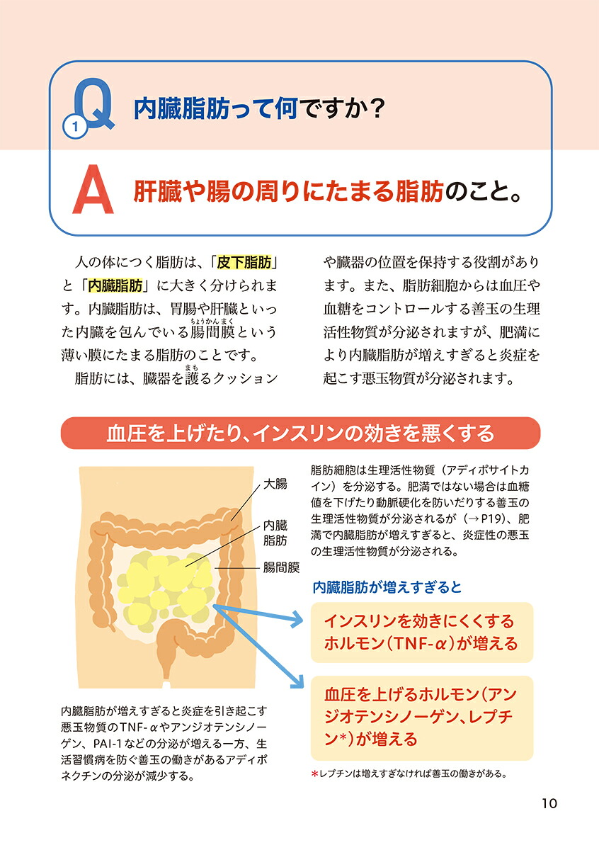 これ1冊でわかる！名医が教える内臓脂肪を減らすルールとレシピ効果が実感できる105の方法（健康これイチ）[横手幸太郎]