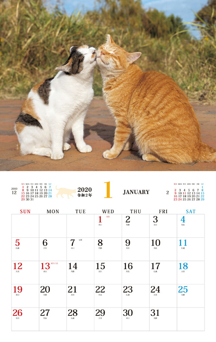 楽天ブックス そとねこ 本