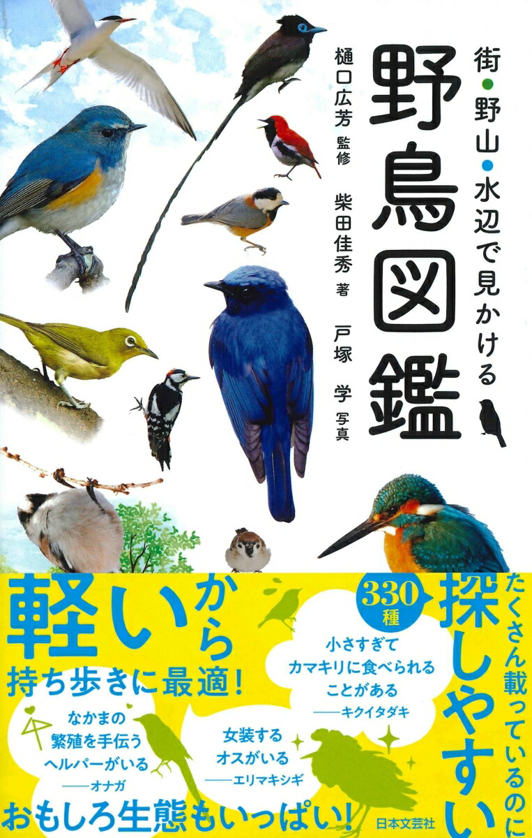 դǸĻ޴[˧]