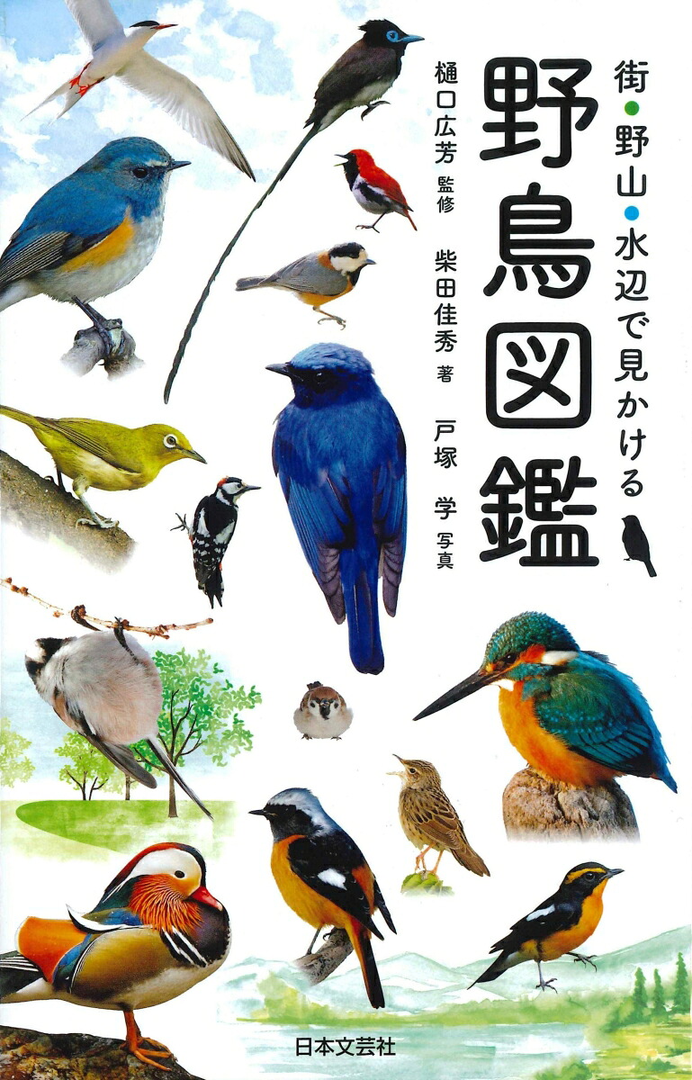 街・野山・水辺で見かける野鳥図鑑[樋口広芳]