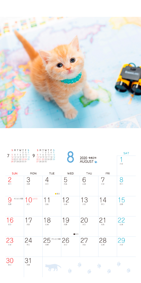 楽天ブックス ましかく子猫カレンダー幸せこねこ 本