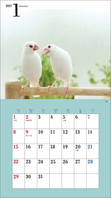 楽天ブックス 壁掛 2017年ミニカレンダー かわいい小鳥の