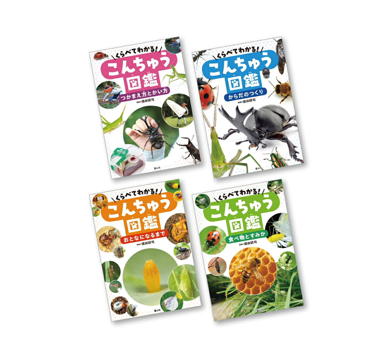 くらべてわかる！こんちゅう図鑑（全4巻）[須田研司]