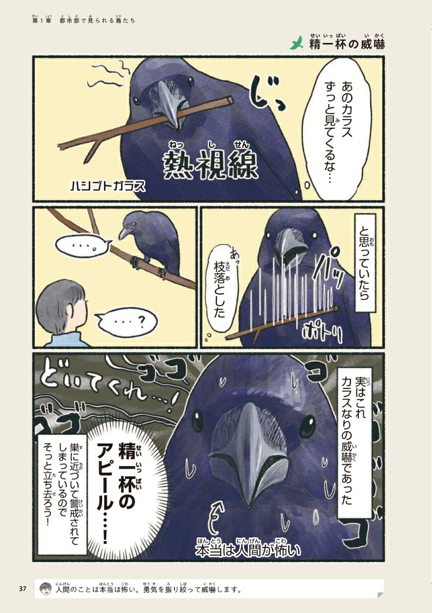 �ճ����Τ�ʤ�Ļ������[piropiropiccolo]