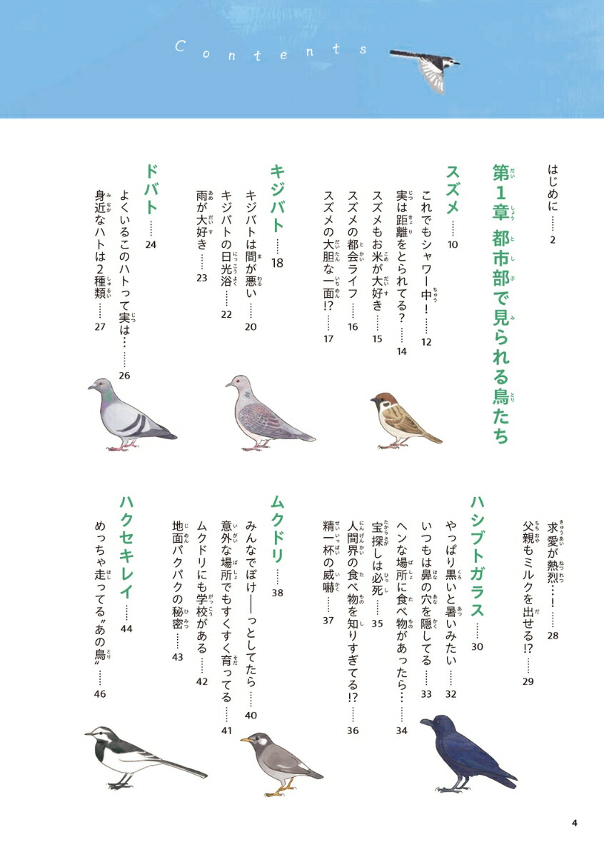 �ճ����Τ�ʤ�Ļ������[piropiropiccolo]