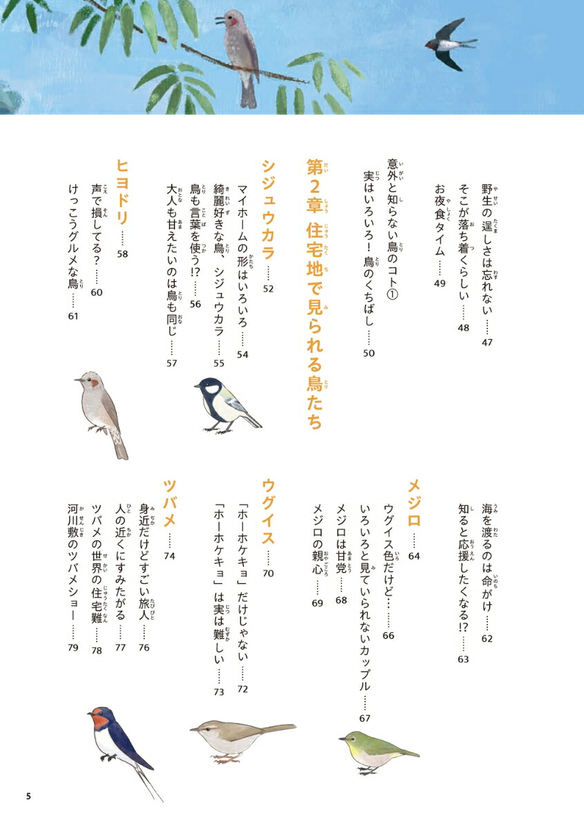 �ճ����Τ�ʤ�Ļ������[piropiropiccolo]