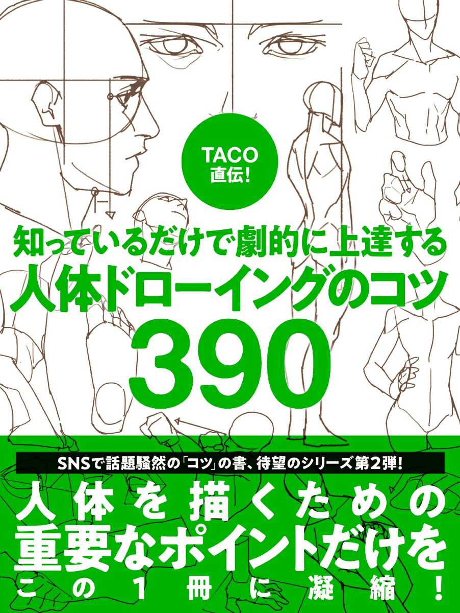 TACOľΤäƤǷŪ˾ãΥɥ󥰤Υ390[TACOʥ]