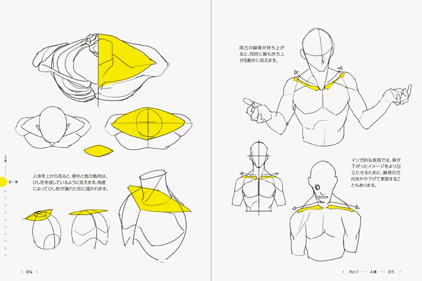 TACOľΤäƤǷŪ˾ãΥɥ󥰤Υ390[TACOʥ]