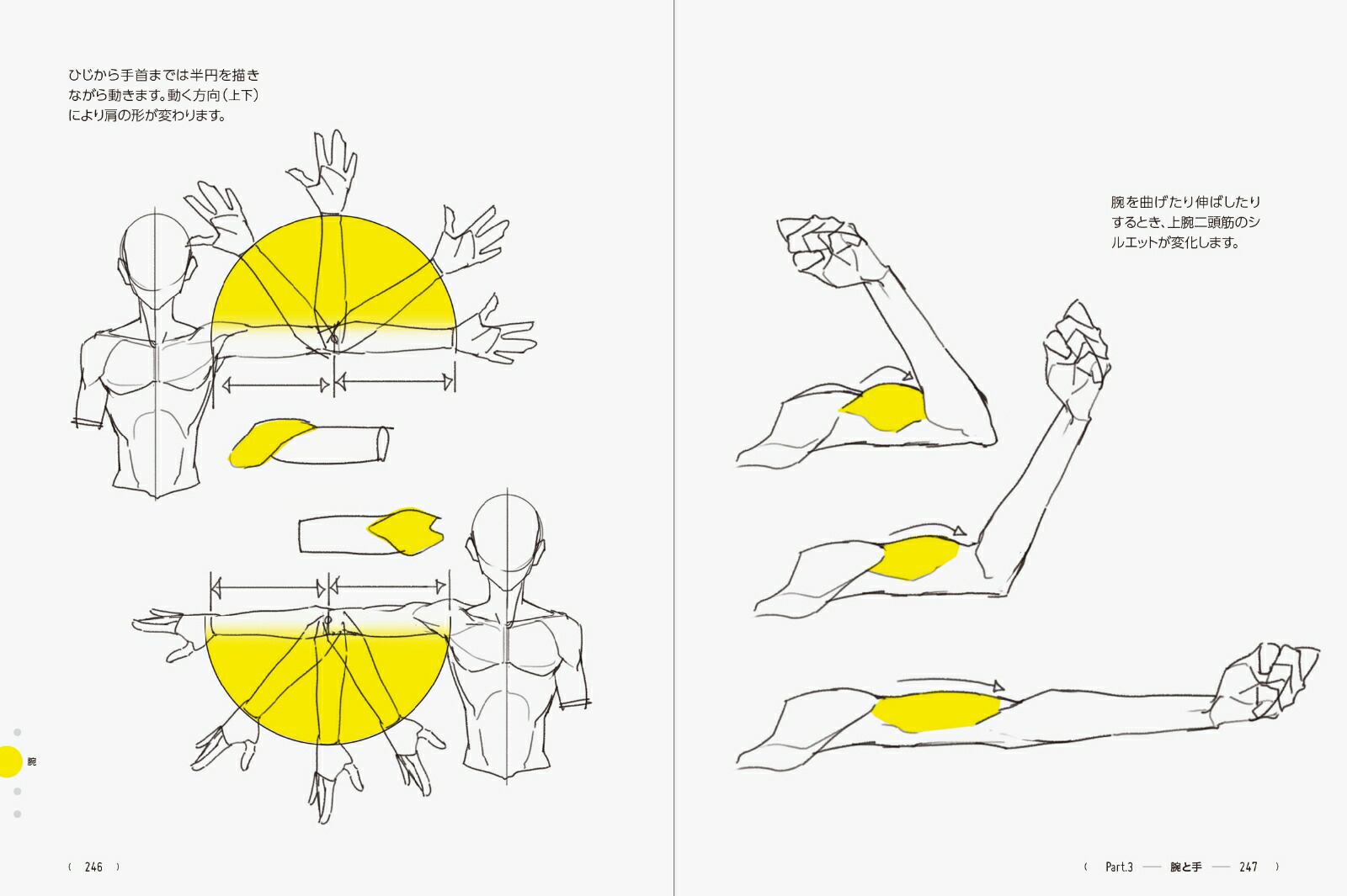 TACOľΤäƤǷŪ˾ãΥɥ󥰤Υ390[TACOʥ]